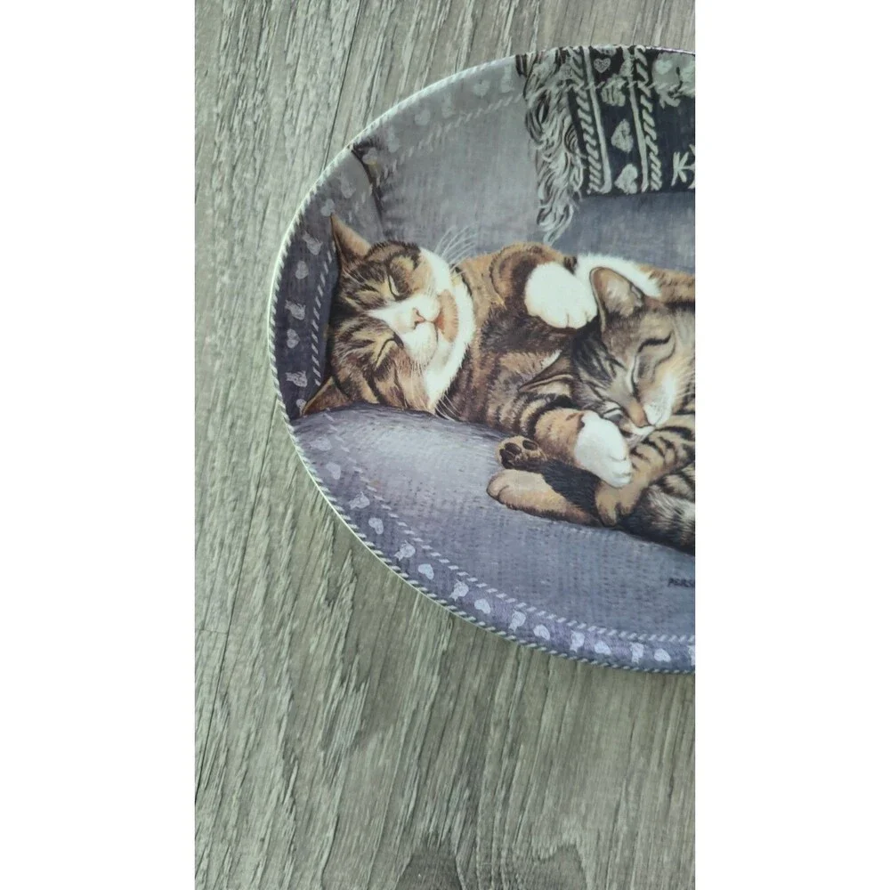2002 Bradford Exchange Kitty Comforts Sweet Slumber Oval Cat Collector Plate